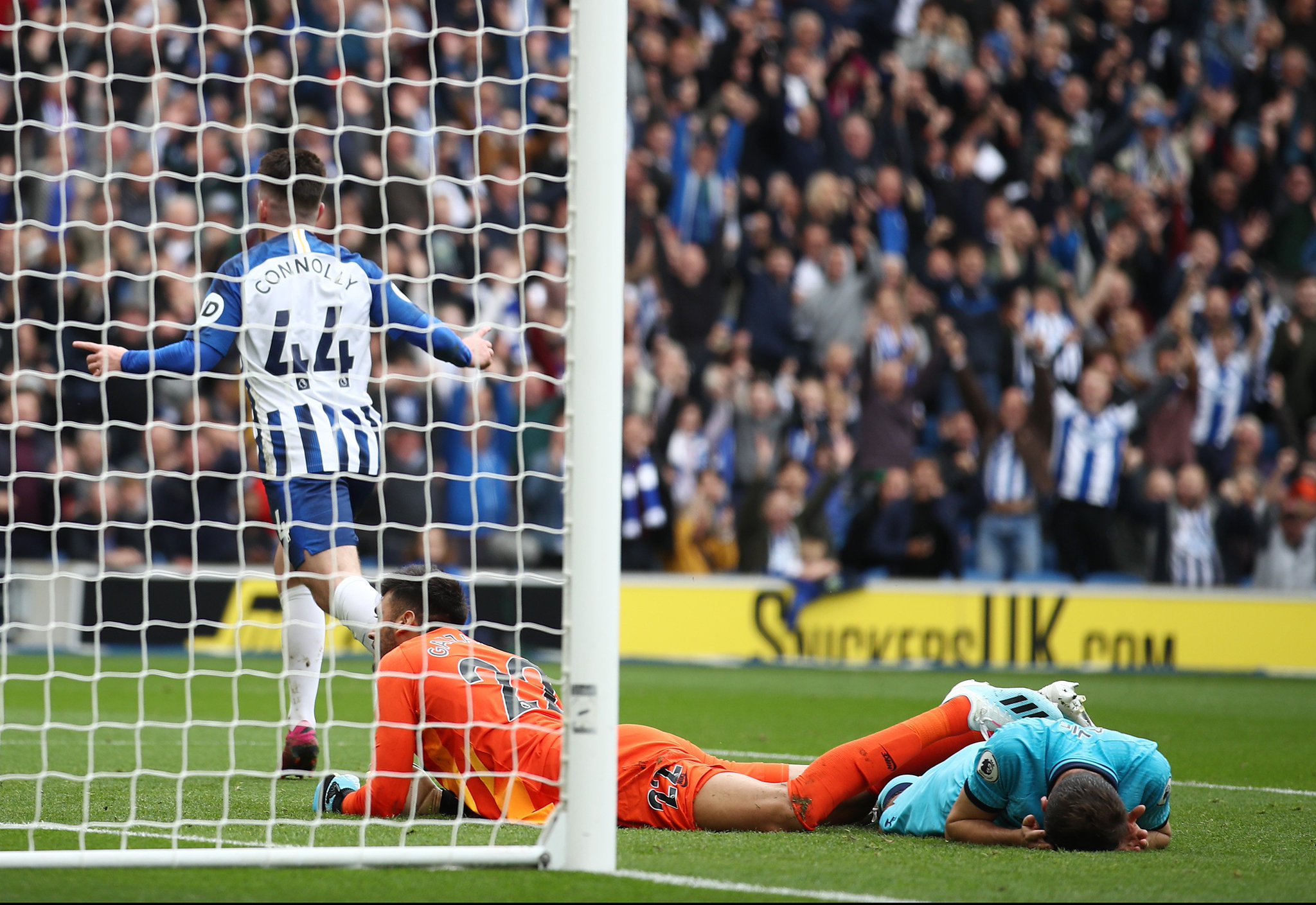 不妨看一看 不妨看一看